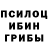 Галлюциногенные грибы Psilocybe Alex Trunow