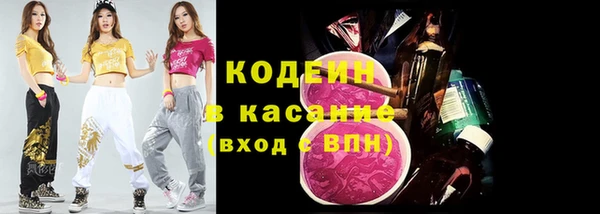 ГАЛЛЮЦИНОГЕННЫЕ ГРИБЫ Балабаново