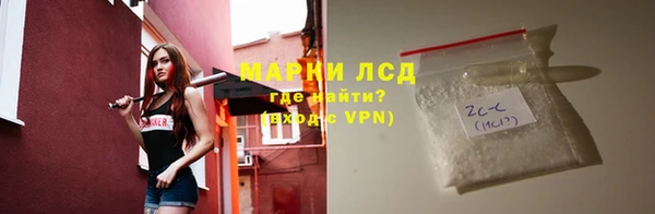 ГАЛЛЮЦИНОГЕННЫЕ ГРИБЫ Балабаново