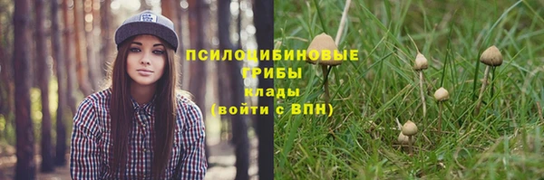 меф Армянск